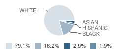 St Richard Catholic School Student Race Distribution