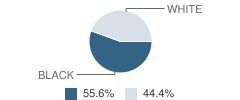 Heritage School Student Race Distribution