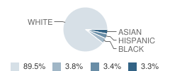 Faith Academy of Jackson Student Race Distribution