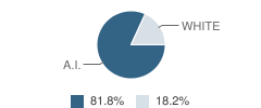 Liberty Christian Academy Student Race Distribution