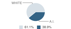 Northwest Indian Bible School Student Race Distribution