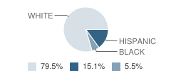 Christ the King Christian Academy Student Race Distribution