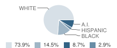 Faith Education Academy Student Race Distribution