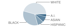 Guy's Schools Student Race Distribution