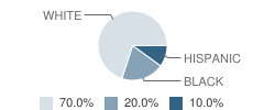 Kingswood School Student Race Distribution