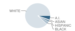 Mooresville Christian Academy Student Race Distribution