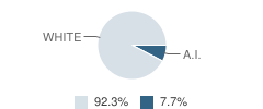 Paramount Christian Academy Student Race Distribution