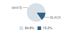 Roxboro Christian Academy Student Race Distribution