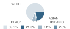 Salem Academy Student Race Distribution