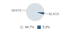 St John's Kindergarten School Student Race Distribution