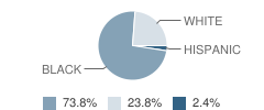 Village Academy Student Race Distribution