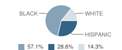 Positive Impact of Union County School Student Race Distribution