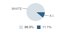 Born Again Christian Academy Student Race Distribution