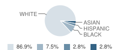 Trinity Lutheran School Student Race Distribution