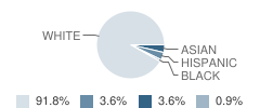 The Cornerstone School Student Race Distribution