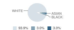 Mountain Shadows School Student Race Distribution