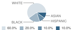 Robin's Childs Place School Student Race Distribution
