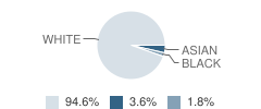 Sesame World Kindergarten School Student Race Distribution