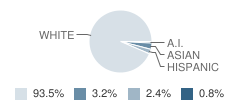 High Mowing School Student Race Distribution