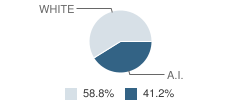 Wise Owl Preschool Student Race Distribution