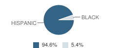 Alpha and Omega School Student Race Distribution