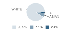 Atlantis Preparatory School Student Race Distribution