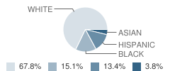 Calvary Academy Student Race Distribution