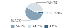 Delaware Valley School for Exceptional Children Student Race Distribution