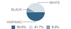 Dr David Goldberg Ccc (Child Care Center) School Student Race Distribution