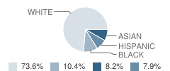 Little Learner Academy Student Race Distribution