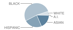 Marist High School Student Race Distribution