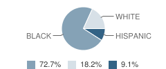 Mary A Dobbins School Student Race Distribution