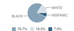 New Life Christian School Student Race Distribution