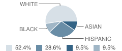 Northeast Christian Academy Student Race Distribution