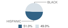 Paterson Catholic High School Student Race Distribution