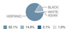 Pope John Paul Ii Elementary School Student Race Distribution