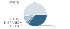 Princeton Day School Student Race Distribution