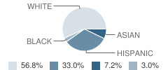 Queen of Peace Elementary School Student Race Distribution