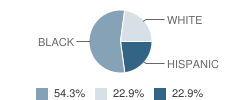 Shim Academy of Montessori Student Race Distribution