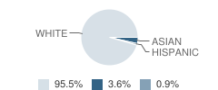 St Augustine Regional School Student Race Distribution