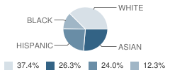 St Clare Elementary School Student Race Distribution