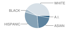 St Francis of Assisi Elementary School Student Race Distribution