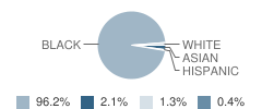 St Joseph Elementary School Student Race Distribution