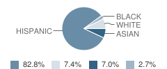 St Joseph of the Palisades School Student Race Distribution