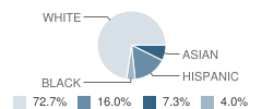 St Mary Star of the Sea School Student Race Distribution