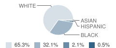 St Mary's Hall / Doane Academy Student Race Distribution