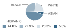 St Mary of the Assumption Elementary School Student Race Distribution