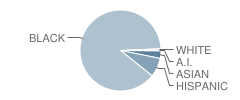 St Patrick & Assumption / All Saints School Student Race Distribution