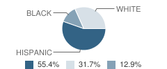 The Felician School for Exceptional Children Student Race Distribution