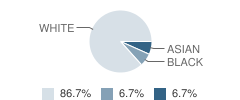 The Goddard School Student Race Distribution